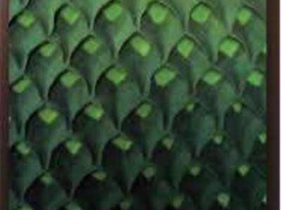 Creation Charlotte Sehmisch